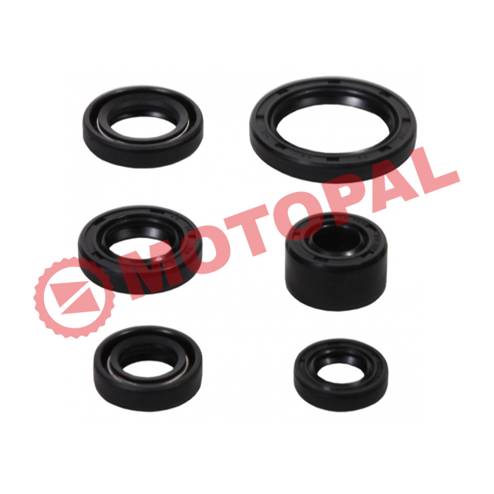 KEÇE TAKIMI [6 LI SET] CUB