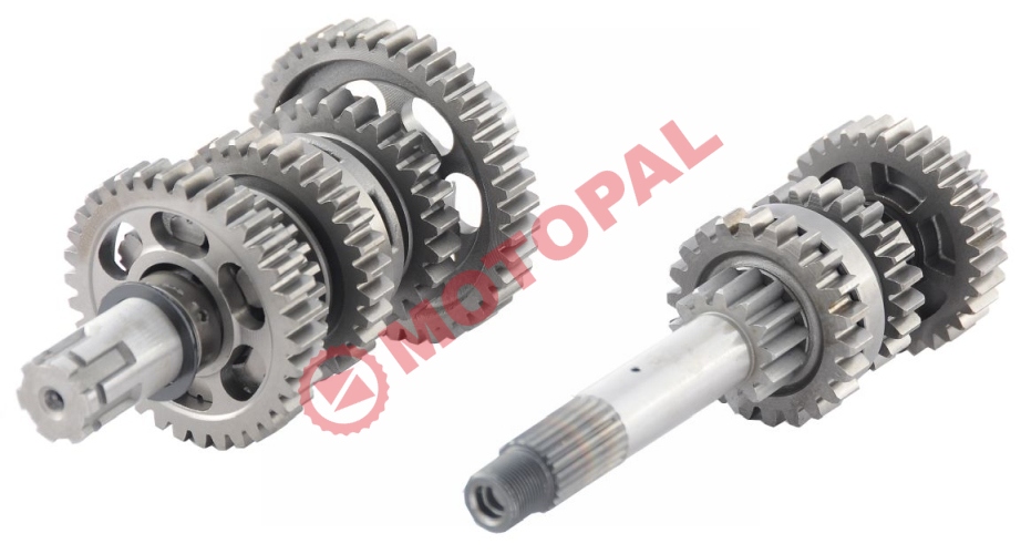 ŞANZIMAN KOMPLE CBF 150 [E.M]