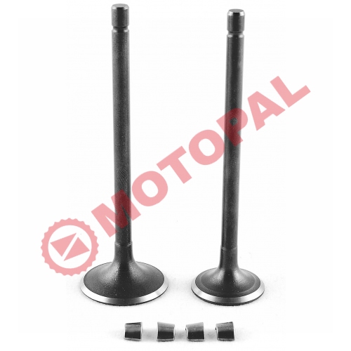 SUBAP TAKIMI [TIRNAKLI] [DQ] CG 200