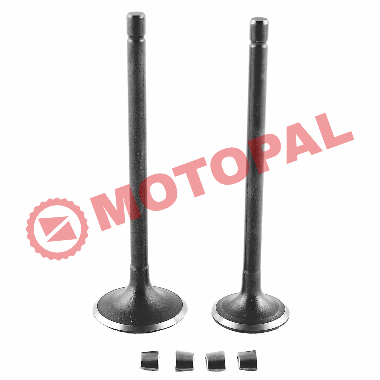 SUBAP TAKIMI [TIRNAKLI] [VTC] CG 200