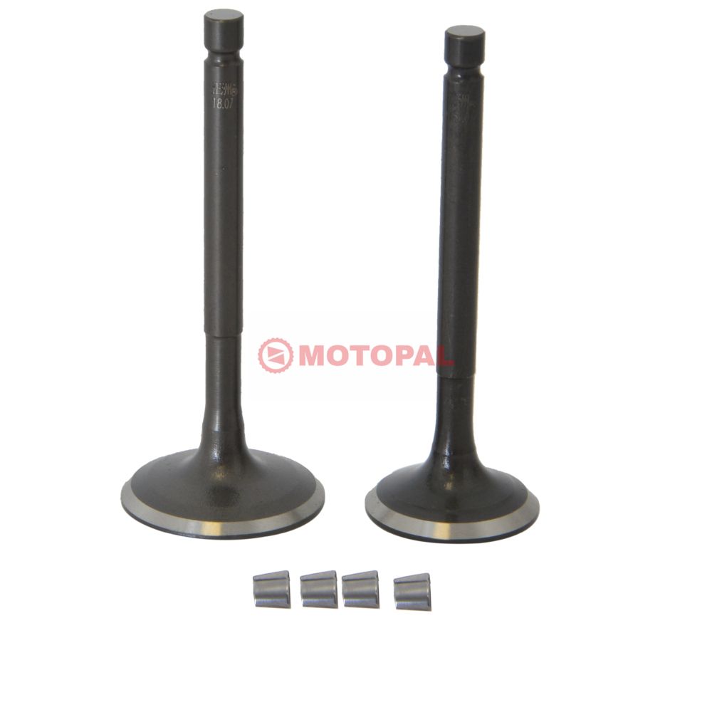 SUBAP TAKIMI [TIRNAKLI] [VTC] YBR