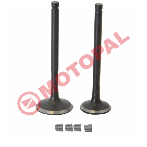 SUBAP TAKIMI [TIRNAKLI] [VTC] ACTIVA - HERO PLEASURE - ARORA SPECIAL ALFA