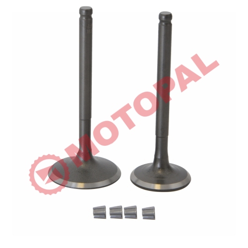 SUBAP TAKIMI [TIRNAKLI] [VTC] 150cc SCOOTER